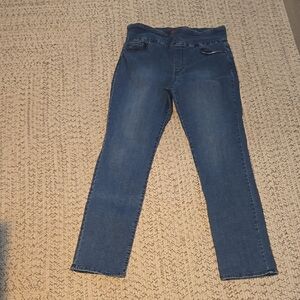 Gloria Vanderbilt Blue Amanda Pull On Jeans